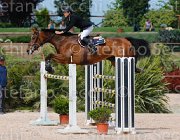 FORMENTINI WIN CHIN CampITA2013- S5 0432 : Campionati Italiani 2013, Cattolica, FORMENTINI FEDERICO, Horse Riviera Resort, WIN CHIN, foto di Stefano Secchi ©